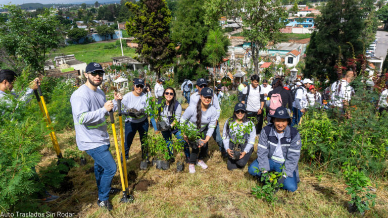 Reforestacion ATR